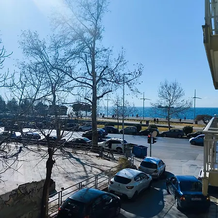 Pansea 13 Exclusive *