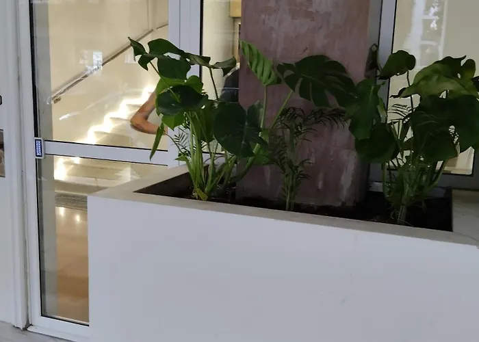 Apartment Pansea 13 Exclusive *